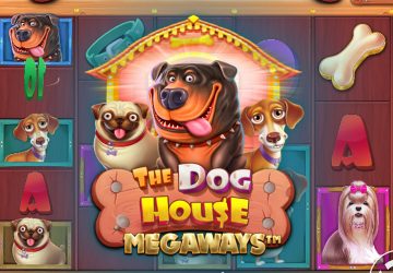 Игровой автомат The Dog House Megaways в казино Амиго Винс