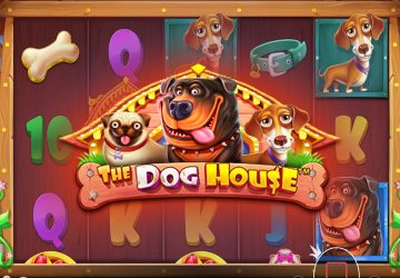 Игра The Dog House в казино Амиго Винс